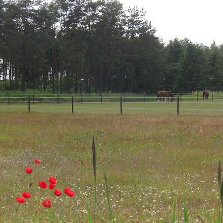 Aengshyddan B&B Yngsjö Eksteriør bilde